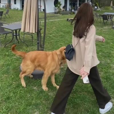 女神的子宫